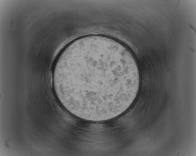 X0000096951509200803071016