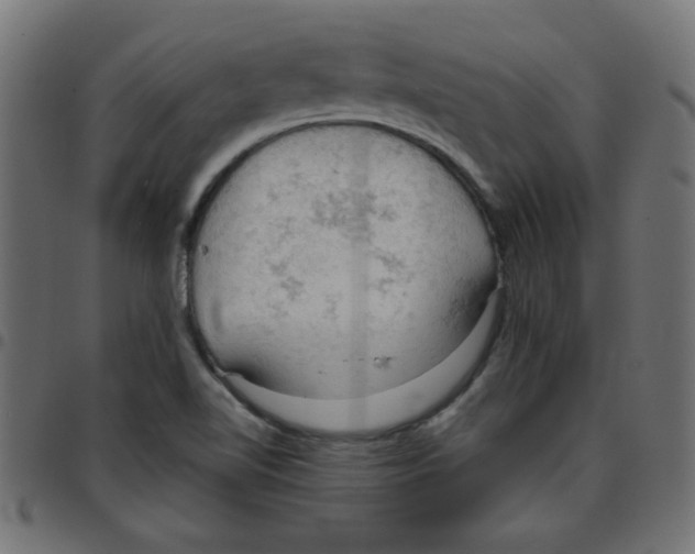 X0000096951510200803071016