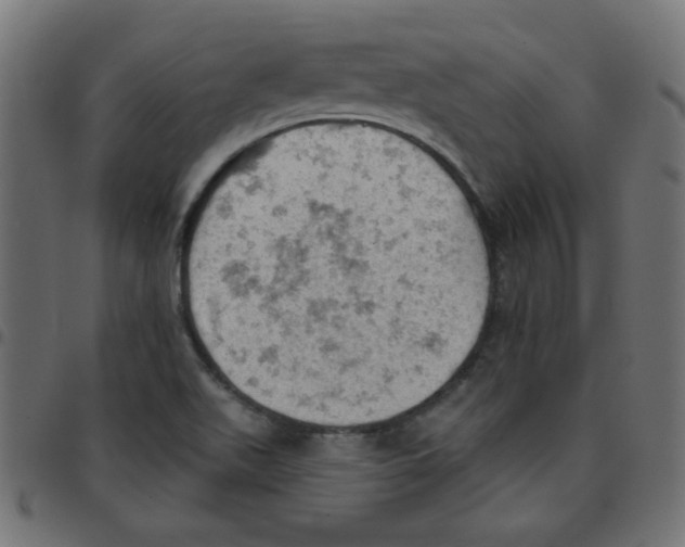 X0000096951511200803071016