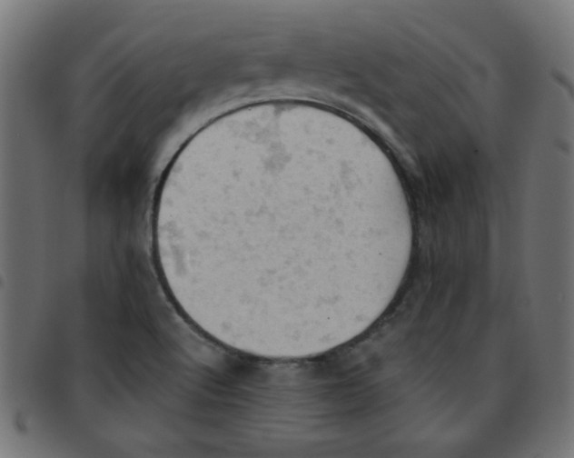 X0000096951512200803071016