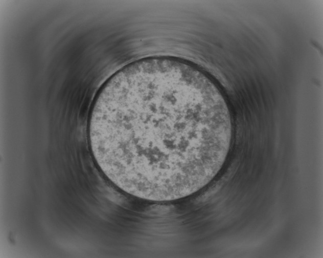 X0000096951513200803071016