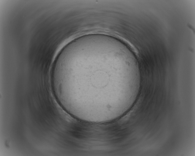 X0000096951514200803071016