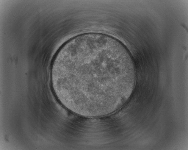 X0000096951515200803071016