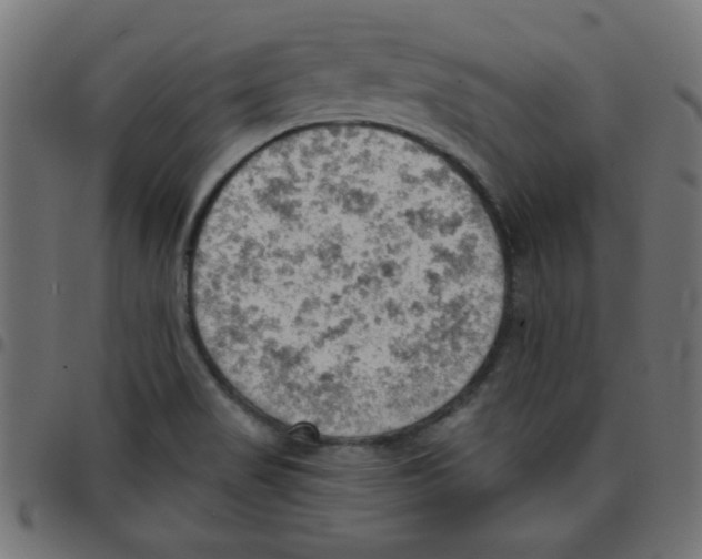 X0000096951517200803071017