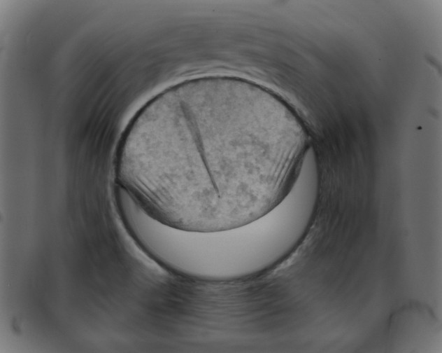 X0000096951518200803071017