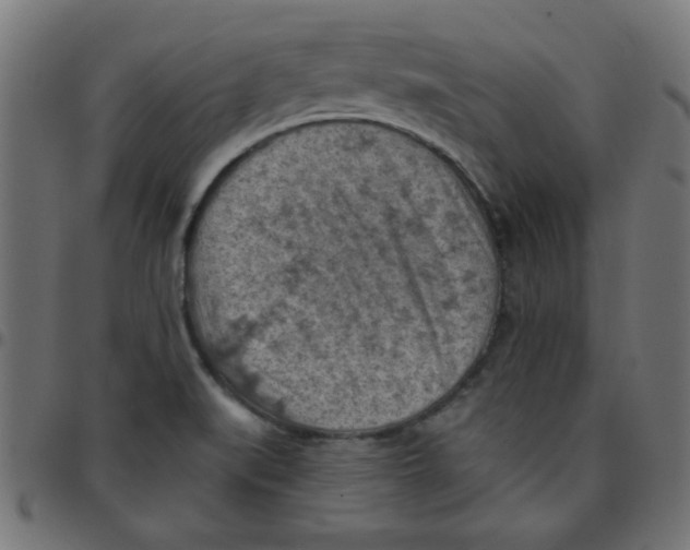 X0000096951519200803071017