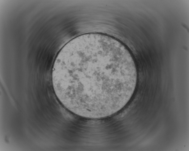 X0000096951521200803071017