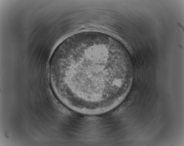 X0000096951522200803071017