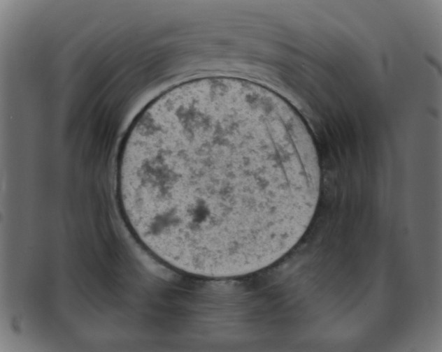 X0000096951523200803071017