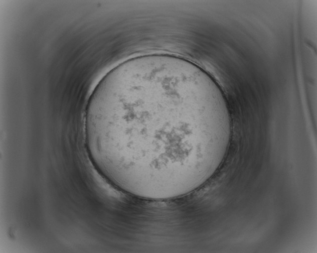 X0000096951524200803071017
