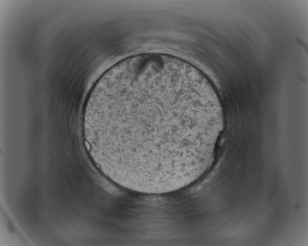 X0000096951525200803071017