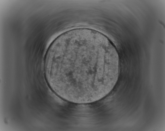 X0000096951527200803071017