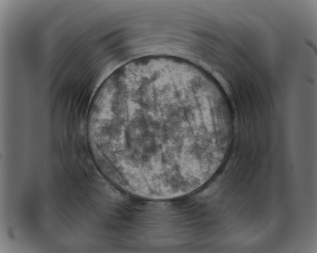 X0000096951529200803071017