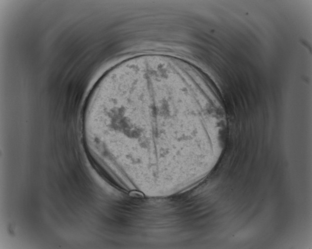X0000096951531200803071017