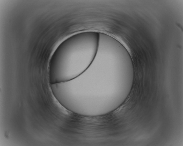 X0000096951532200803071017