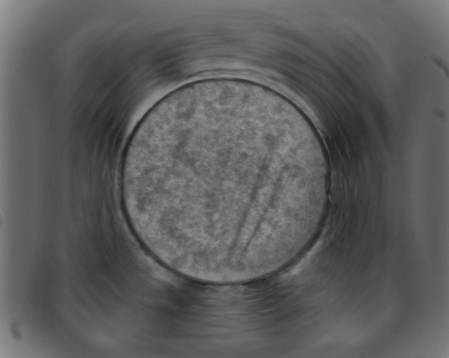 X0000096951533200803071017