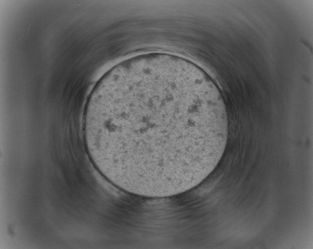X0000096951535200803071017