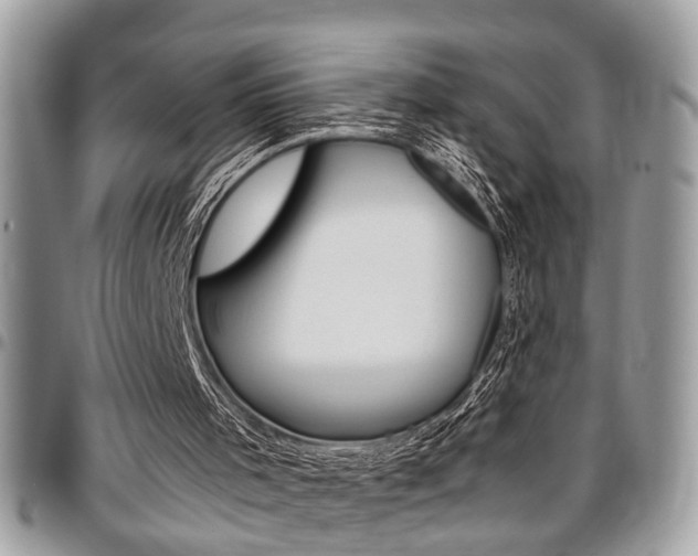 X0000096960001200802080911
