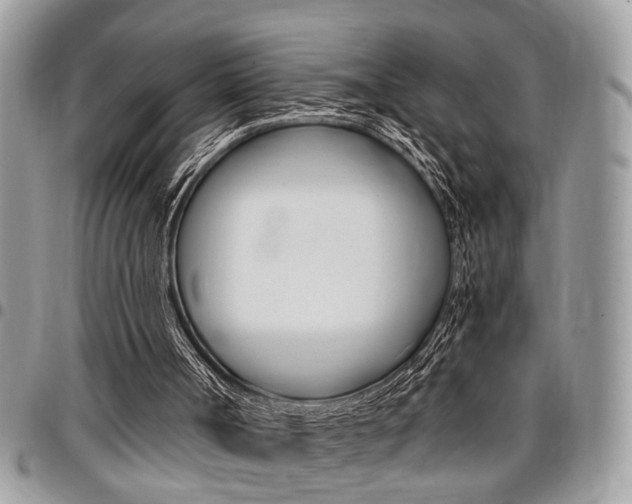 X0000096960002200802080910