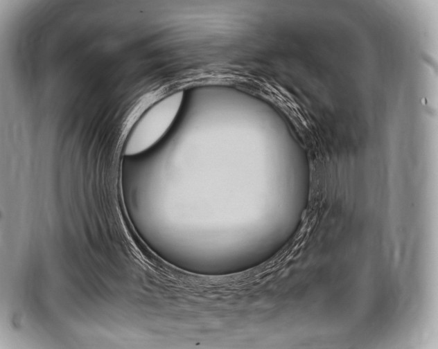 X0000096960003200802080910