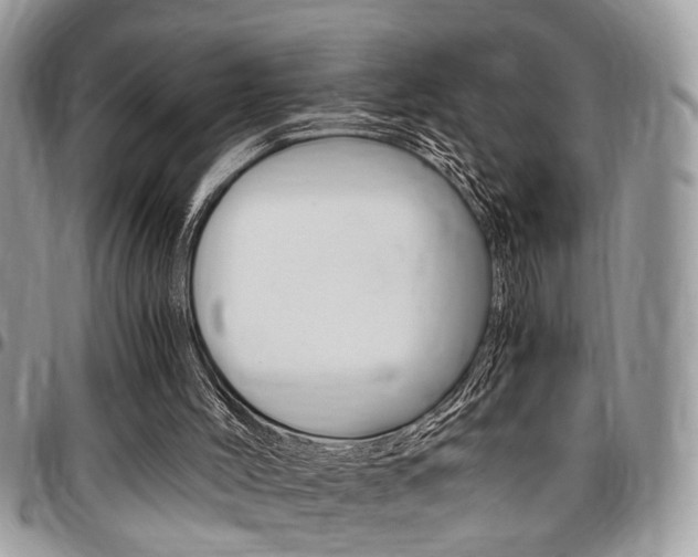 X0000096960004200802080910