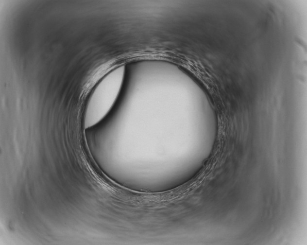 X0000096960005200802080910