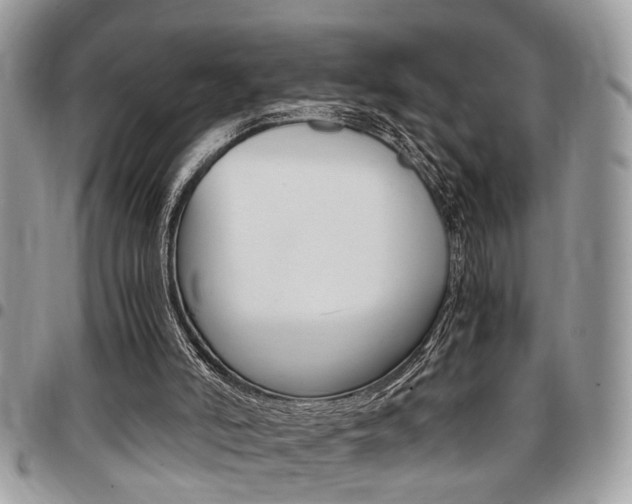 X0000096960006200802080910