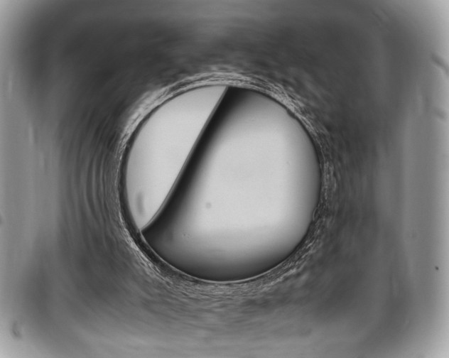 X0000096960007200802080910