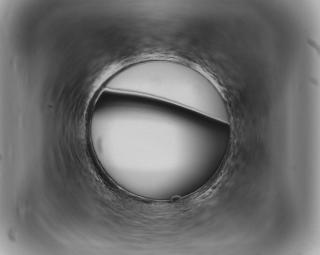 X0000096960008200802080910