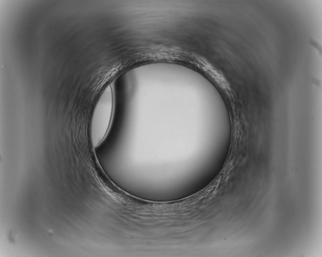 X0000096960009200802080910