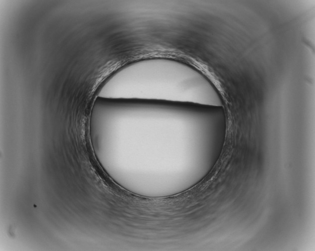 X0000096960010200802080910