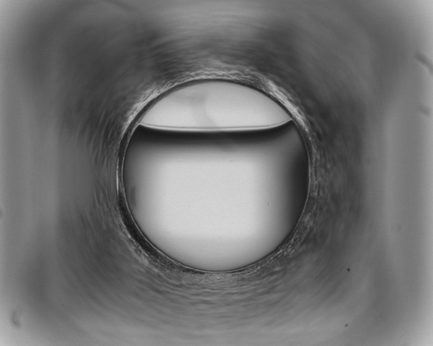 X0000096960011200802080910