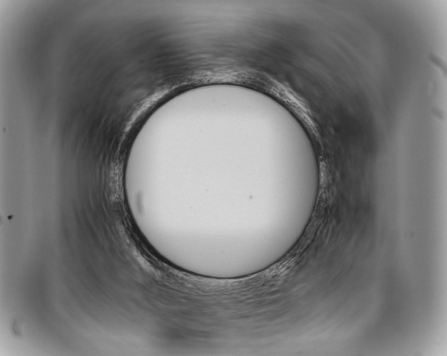 X0000096960012200802080910