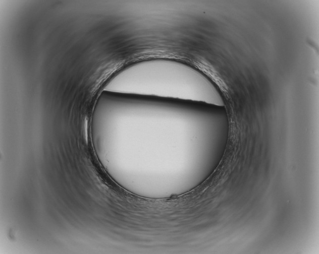 X0000096960014200802080910