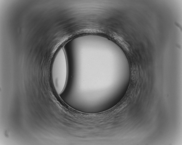 X0000096960015200802080910