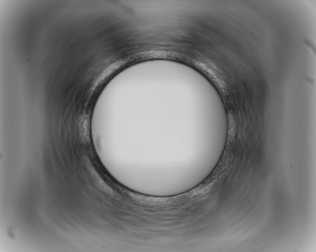 X0000096960016200802080910