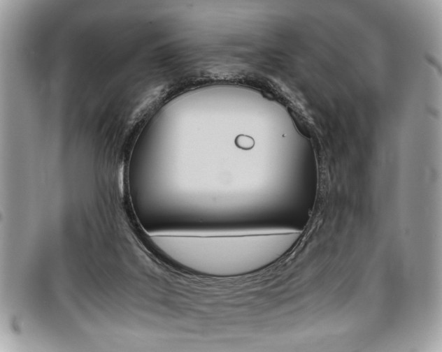 X0000096960019200802080910