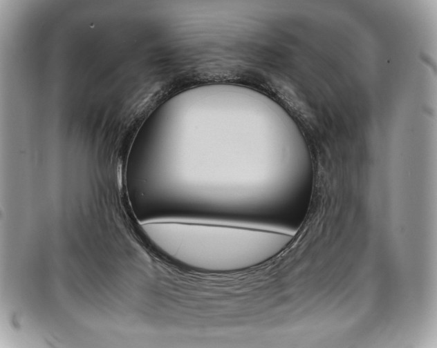 X0000096960021200802080910