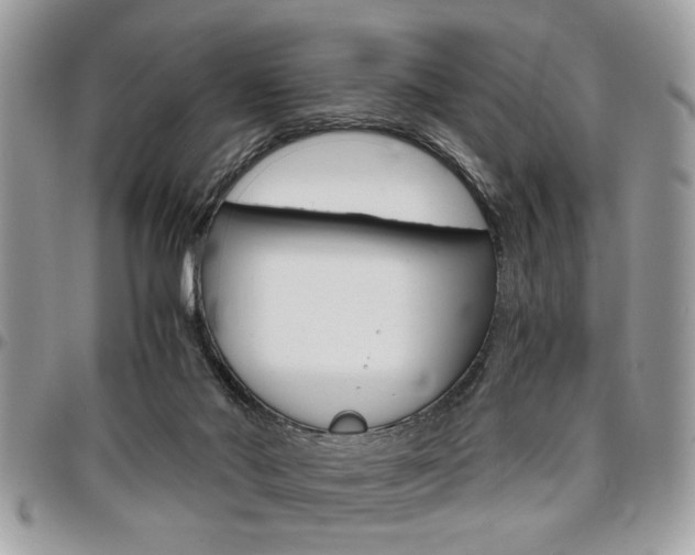 X0000096960022200802080910