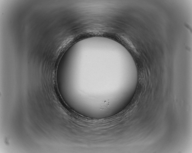 X0000096960023200802080910