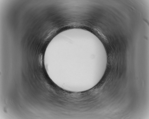 X0000096960024200802080910