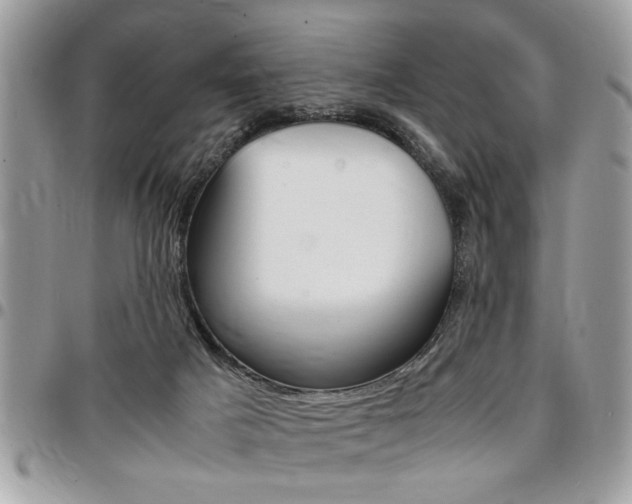 X0000096960025200802080910