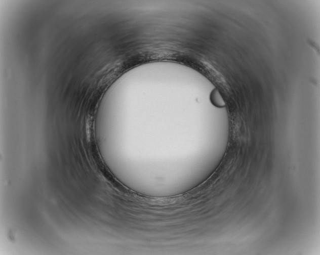 X0000096960026200802080910