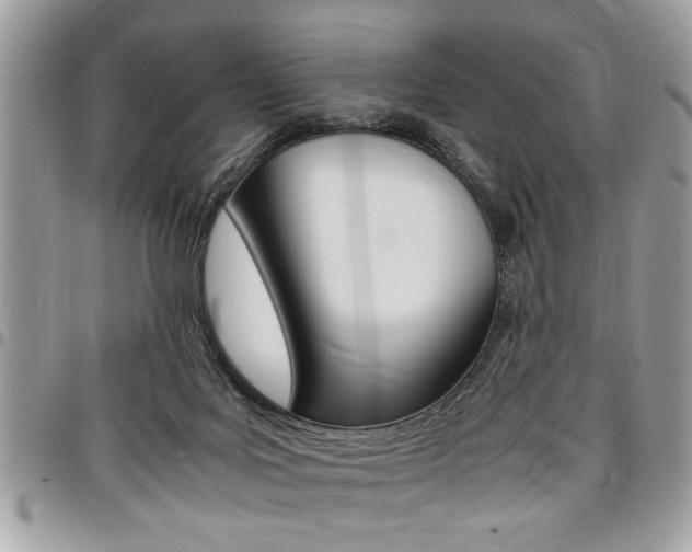 X0000096960027200802080910