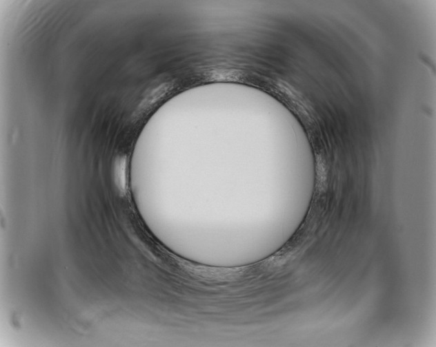 X0000096960028200802080910
