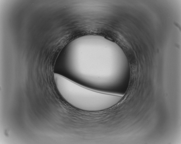 X0000096960029200802080910