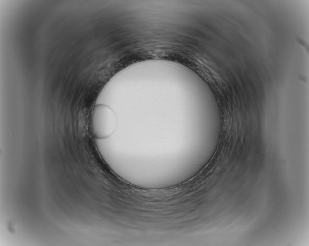 X0000096960030200802080910