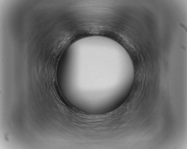 X0000096960031200802080910