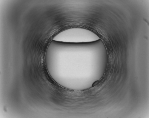X0000096960032200802080910