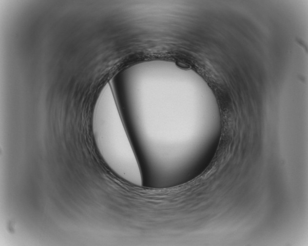 X0000096960033200802080910